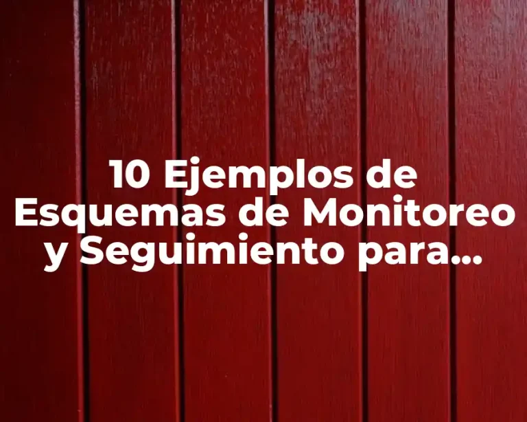 10 Ejemplos de Esquemas de Monitoreo y Seguimiento para Consultas Médicas