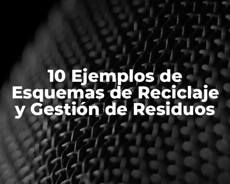 10 Ejemplos de Esquemas de Reciclaje y Gestión de Residuos