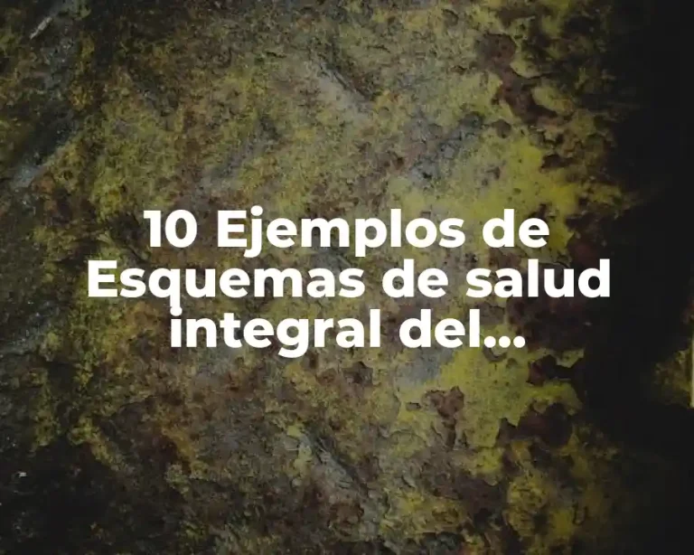 10 Ejemplos de Esquemas de salud integral del adolescente