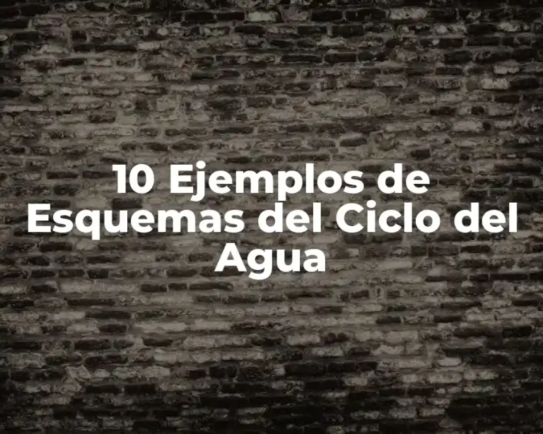 10 Ejemplos de Esquemas del Ciclo del Agua