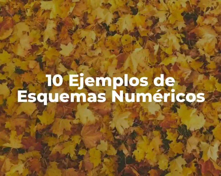 10 Ejemplos de Esquemas Numéricos