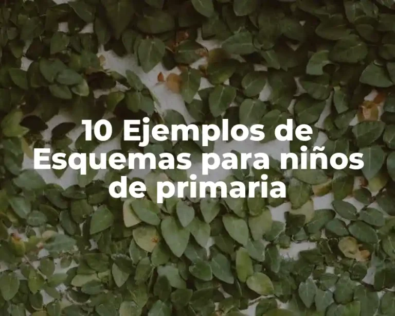 10 Ejemplos de Esquemas para niños de primaria