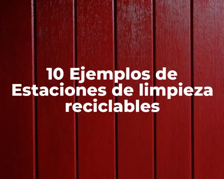 10 Ejemplos de Estaciones de limpieza reciclables