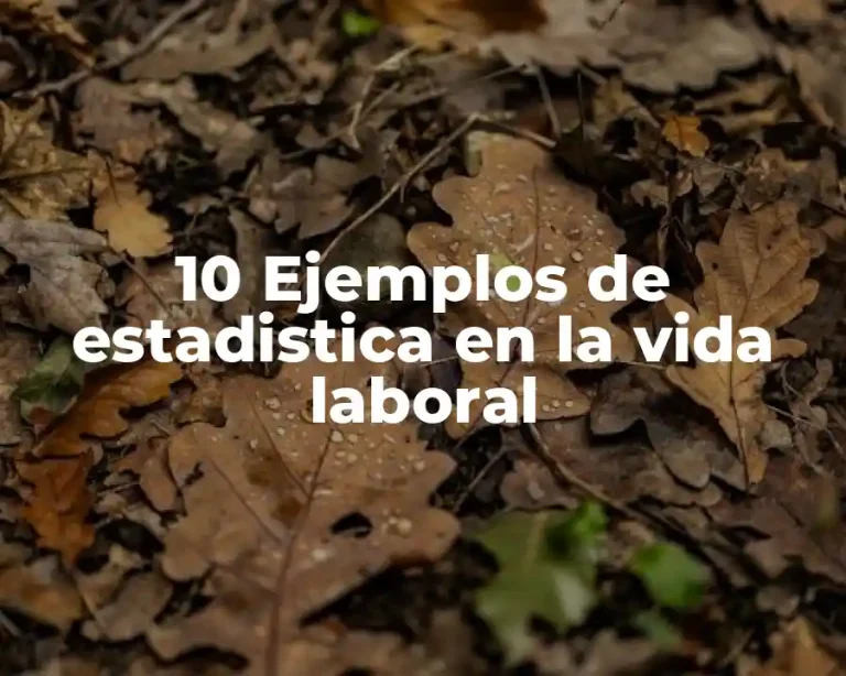 10 Ejemplos de estadistica en la vida laboral