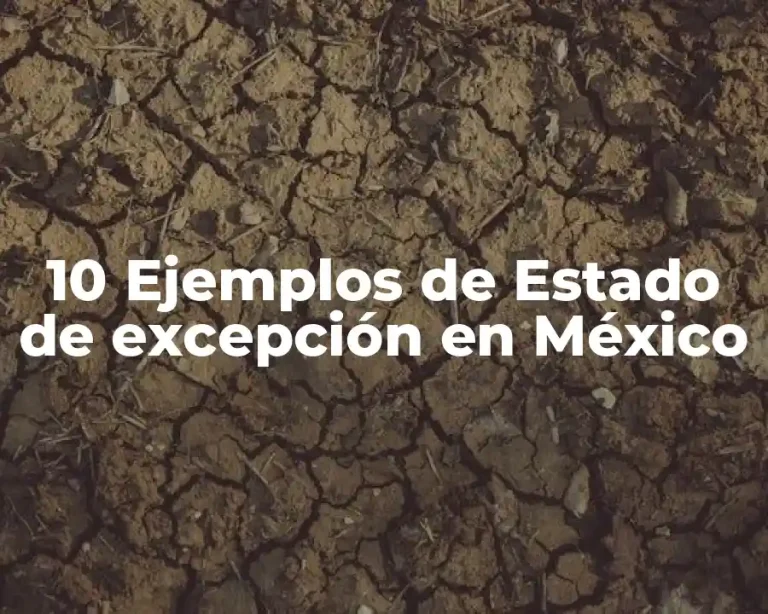 10 Ejemplos de Estado de excepción en México