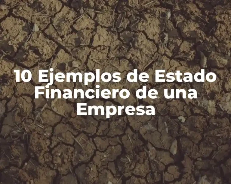 10 Ejemplos de Estado Financiero de una Empresa