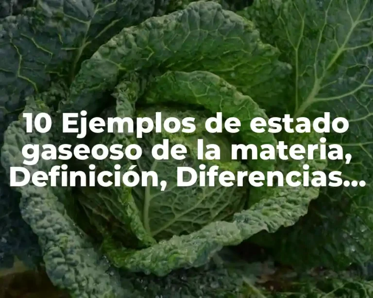 10 Ejemplos de estado gaseoso de la materia, Definición, Diferencias y para que sirve