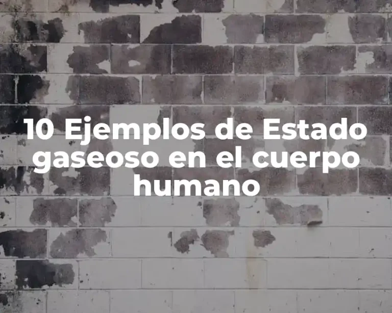 10 Ejemplos de Estado gaseoso en el cuerpo humano