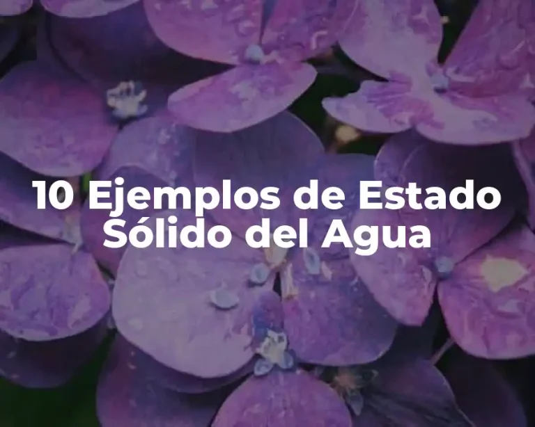 10 Ejemplos de Estado Sólido del Agua