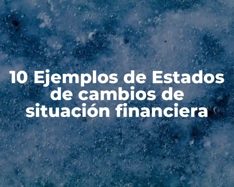 10 Ejemplos de Estados de cambios de situación financiera