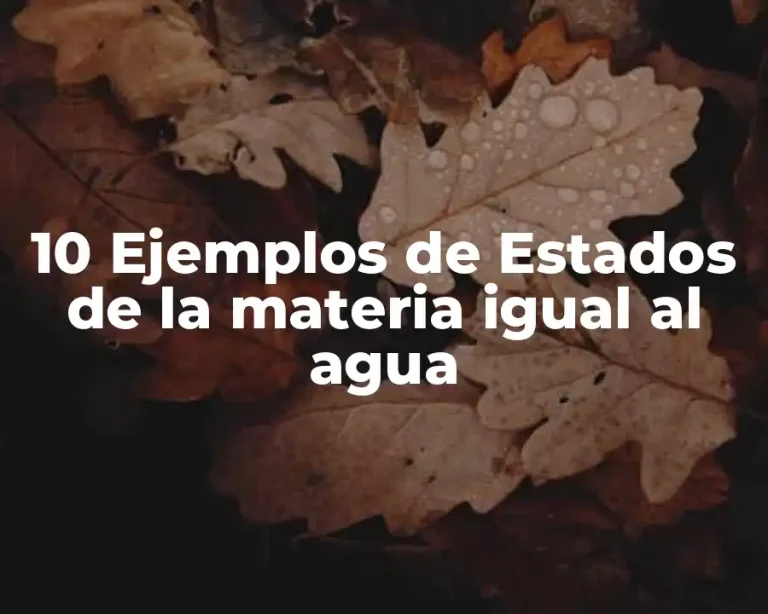 10 Ejemplos de Estados de la materia igual al agua