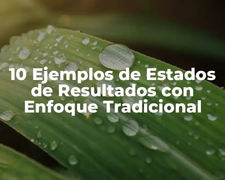 10 Ejemplos de Estados de Resultados con Enfoque Tradicional
