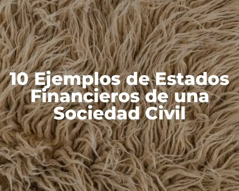 10 Ejemplos de Estados Financieros de una Sociedad Civil