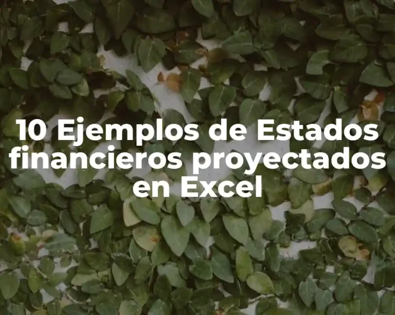 10 Ejemplos de Estados financieros proyectados en Excel