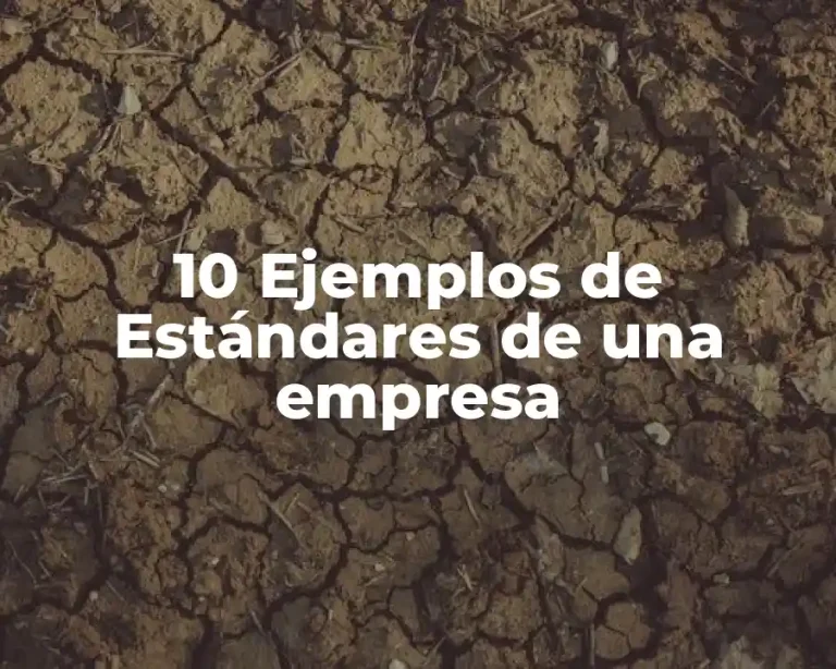 10 Ejemplos de Estándares de una empresa