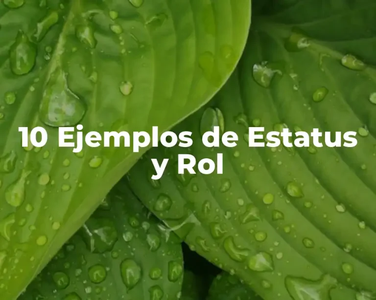 10 Ejemplos de Estatus y Rol