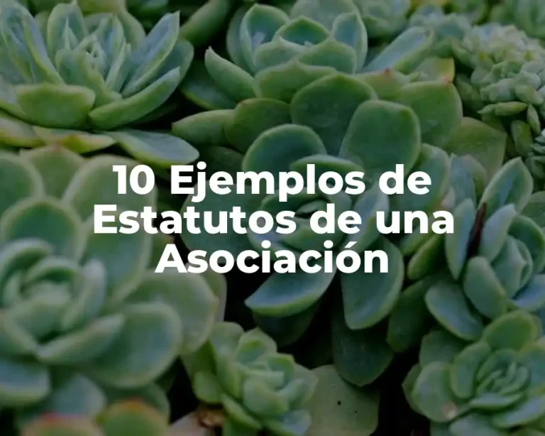 10 Ejemplos de Estatutos de una Asociación