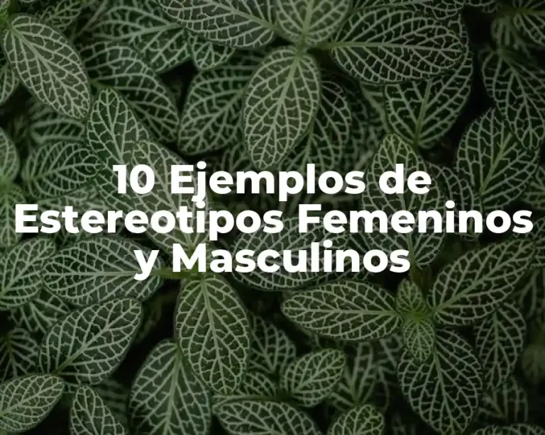 10 Ejemplos de Estereotipos Femeninos y Masculinos