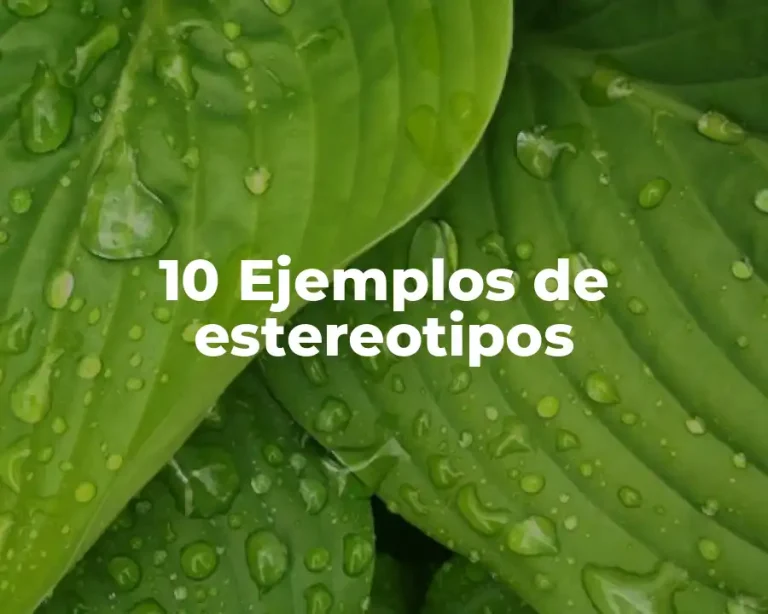 10 Ejemplos de estereotipos