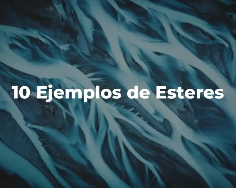10 Ejemplos de Esteres