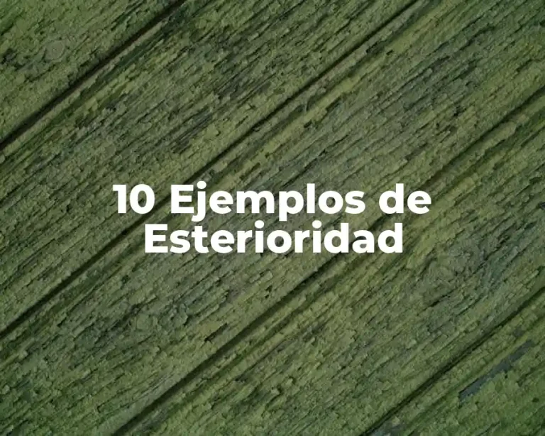 10 Ejemplos de Esterioridad