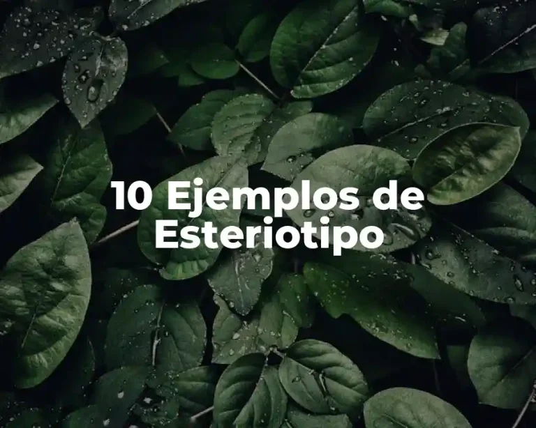 10 Ejemplos de Esteriotipo