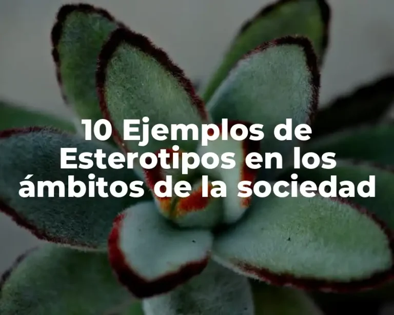 10 Ejemplos de Esterotipos en los ámbitos de la sociedad