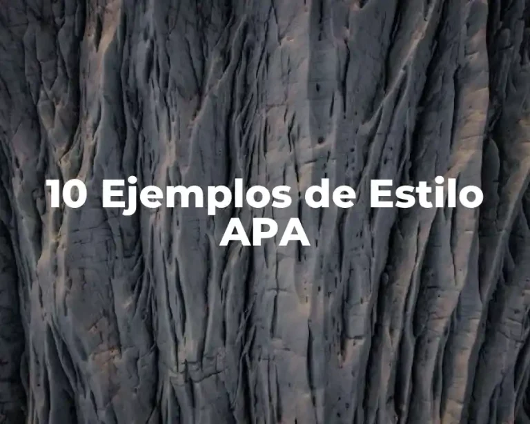 10 Ejemplos de Estilo APA