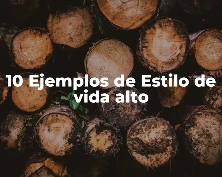 10 Ejemplos de Estilo de vida alto