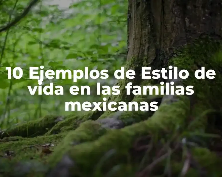 10 Ejemplos de Estilo de vida en las familias mexicanas