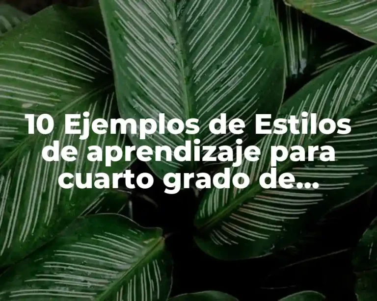 10 Ejemplos de Estilos de aprendizaje para cuarto grado de primaria