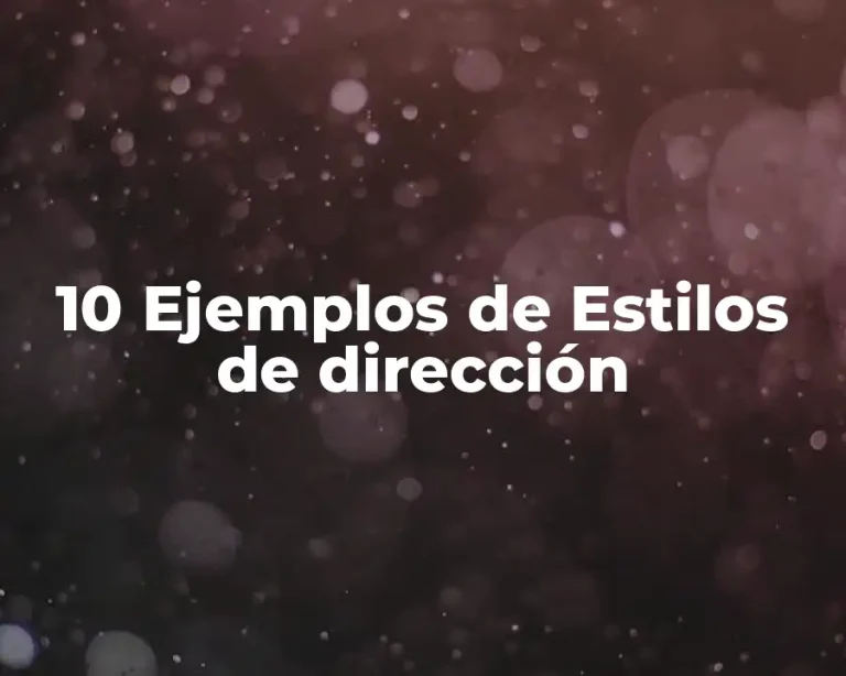 10 Ejemplos de Estilos de dirección