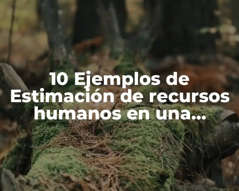 10 Ejemplos de Estimación de recursos humanos en una institución educativa