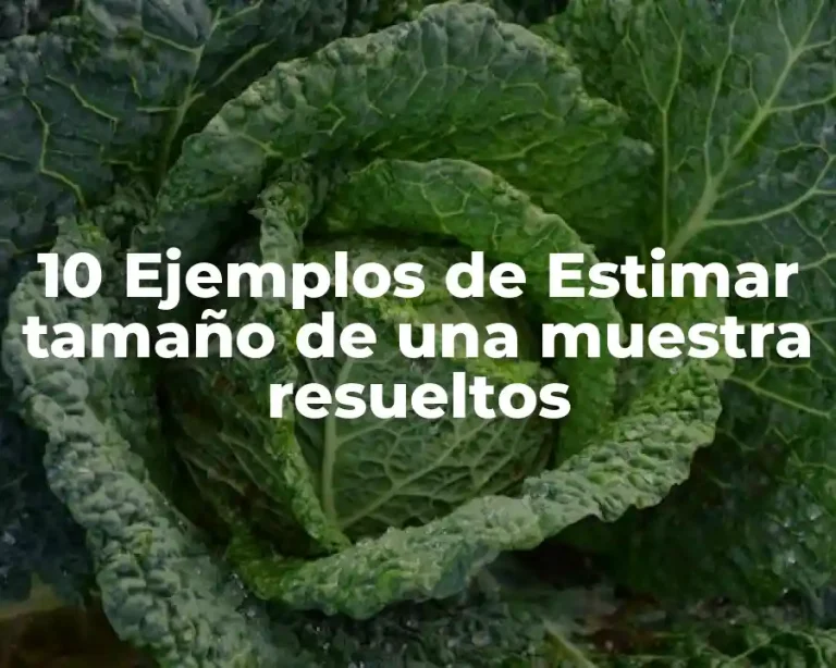 10 Ejemplos de Estimar tamaño de una muestra resueltos