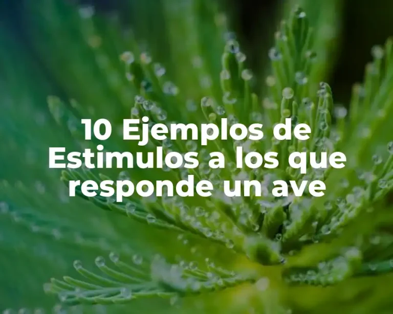 10 Ejemplos de Estimulos a los que responde un ave