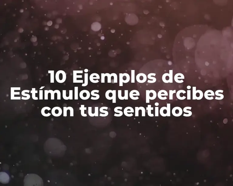 10 Ejemplos de Estímulos que percibes con tus sentidos
