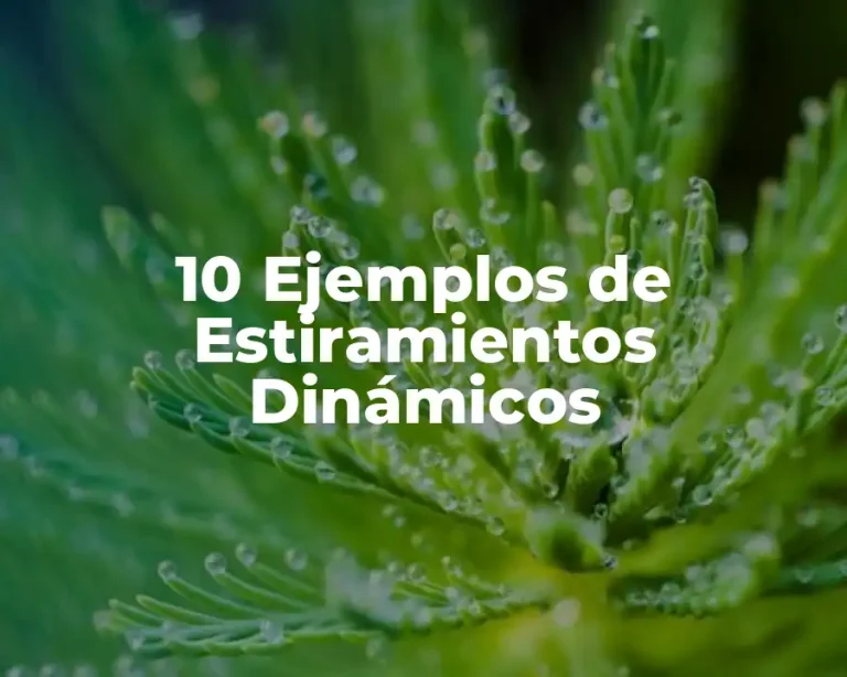 10 Ejemplos de Estiramientos Dinámicos