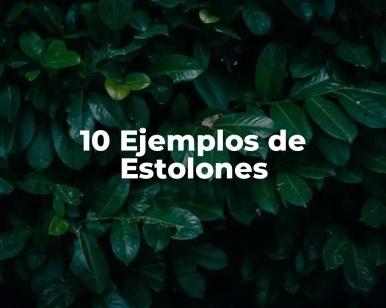 10 Ejemplos de Estolones