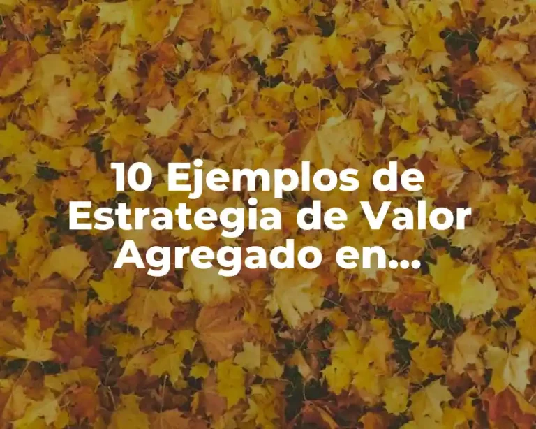 10 Ejemplos de Estrategia de Valor Agregado en Transporte de Pasajeros