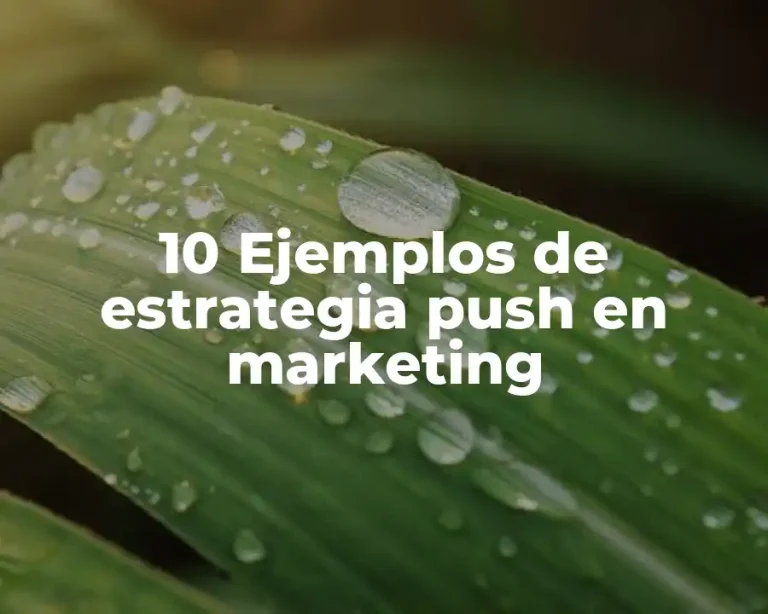 10 Ejemplos de estrategia push en marketing