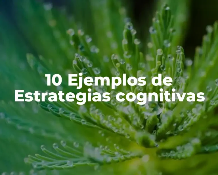 10 Ejemplos de Estrategias cognitivas