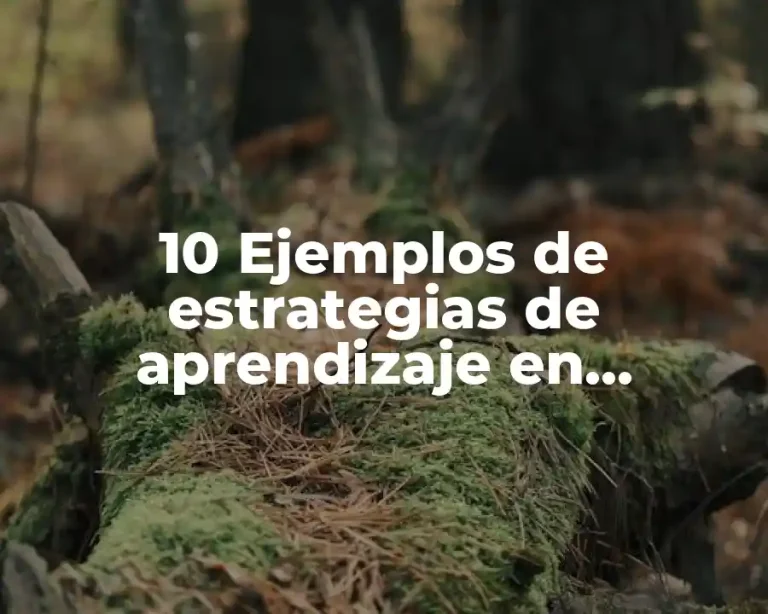 10 Ejemplos de estrategias de aprendizaje en comprensión lectora