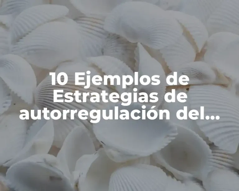 10 Ejemplos de Estrategias de autorregulación del aprendizaje