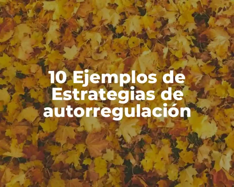 10 Ejemplos de Estrategias de autorregulación