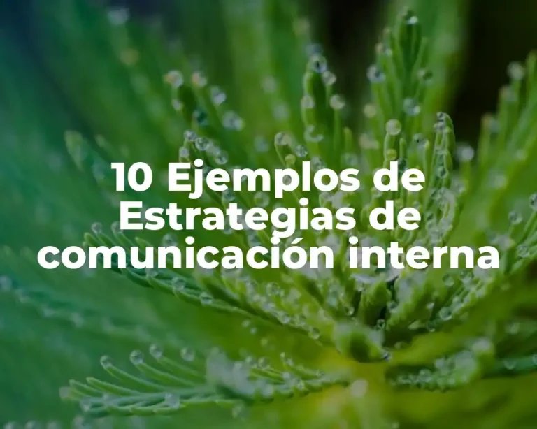 10 Ejemplos de Estrategias de comunicación interna