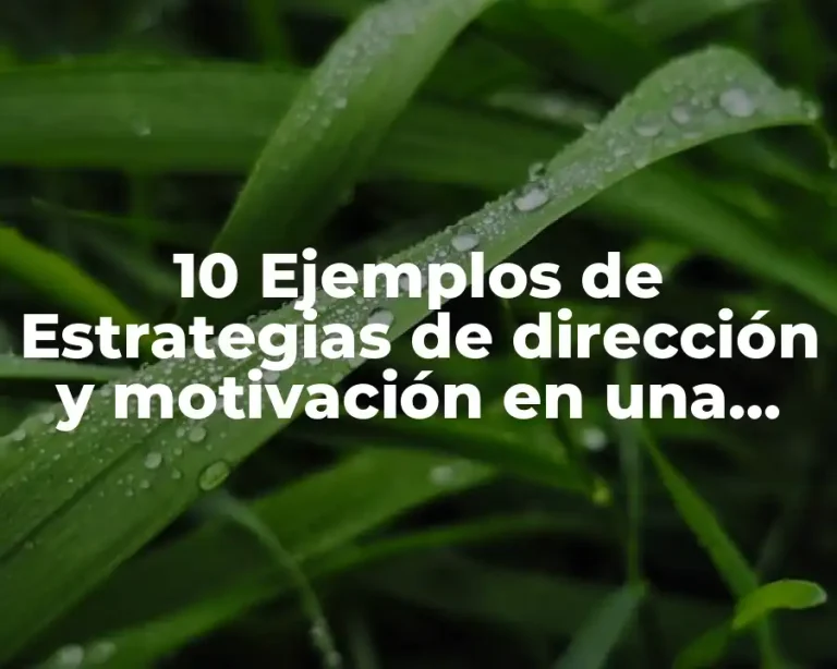 10 Ejemplos de Estrategias de dirección y motivación en una empresa