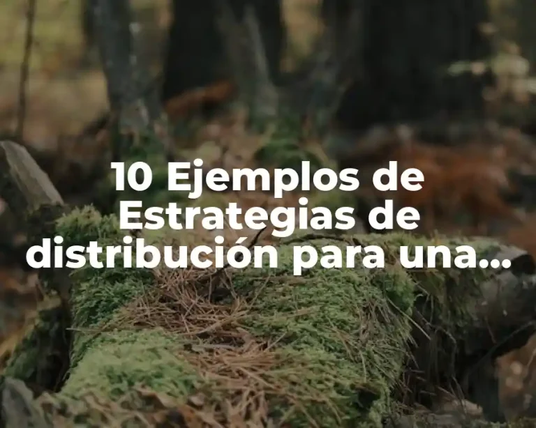 10 Ejemplos de Estrategias de distribución para una clínica psicológica