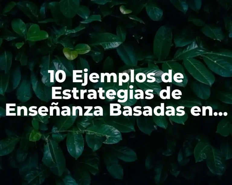 10 Ejemplos de Estrategias de Enseñanza Basadas en Competencias