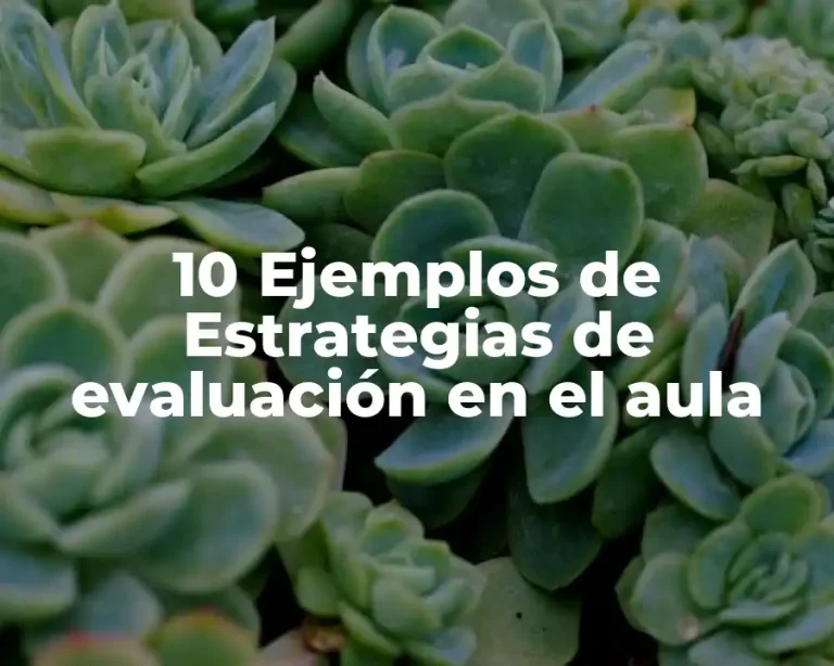 10 Ejemplos de Estrategias de evaluación en el aula