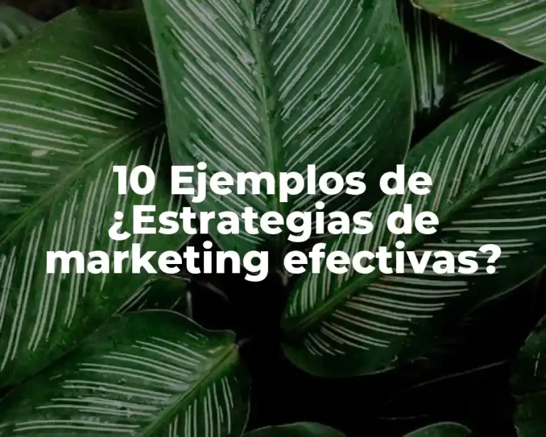 10 Ejemplos de ¿Estrategias de marketing efectivas?